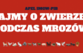 APEL IMGW-PIB: DBAJMY O ZWIERZĘTA PODCZAS MROZÓW