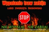 Nie wypalaj wiosną traw