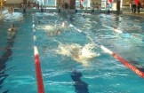 LKS „Delfin” Połaniec na II Memoriale Pływackim im. Jana Pawła II w XI rocznicę śmierci w Pustkowie – Osiedlu