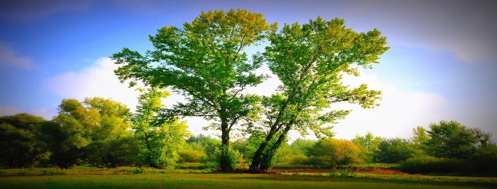 Krajobraz nadwiślański